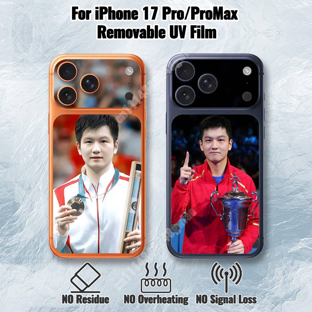 F-Fan Z-Zhendong Table Tennis  - Table Tennis Zhendong 评论和价格