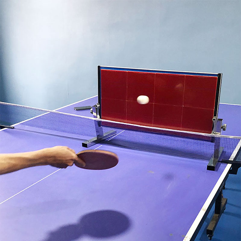 Home Table Tennis Rebound Boar - Table Tennis Eleven 评论和价格