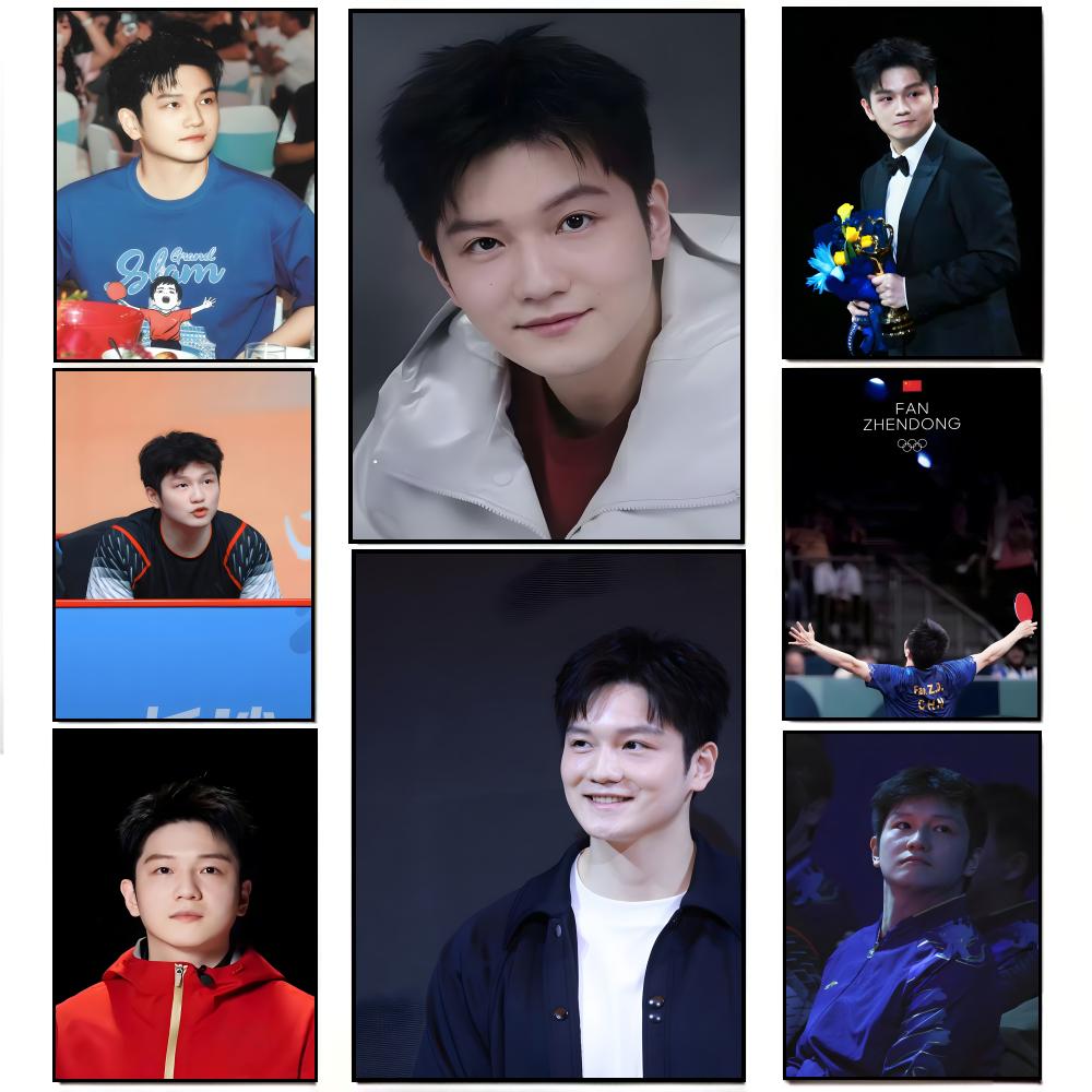 Dynamic Athletic F-Fan Zhendon - Table Tennis Zhendong 评论和价格